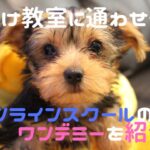 タイトル画像